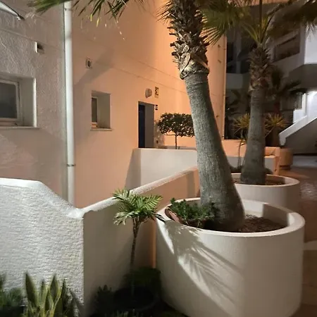 Apartment Belle Vue 1ere Lignee Marina