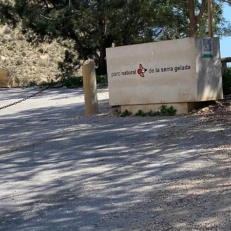 Belle Vue 1ère Lignée Marina