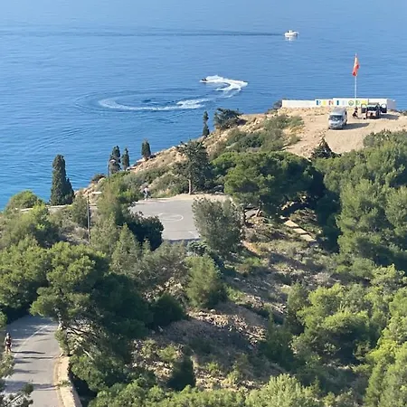 Belle Vue 1ere Lignee Marina